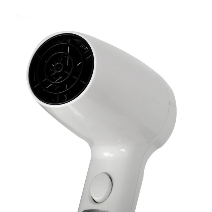 Hotel Hair Dryer Bathroom Wall Mounted Mold